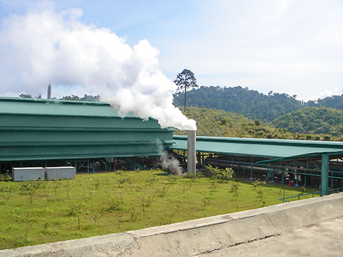 palm-oil-pressing-machine