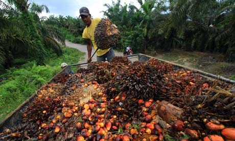 palmoil2